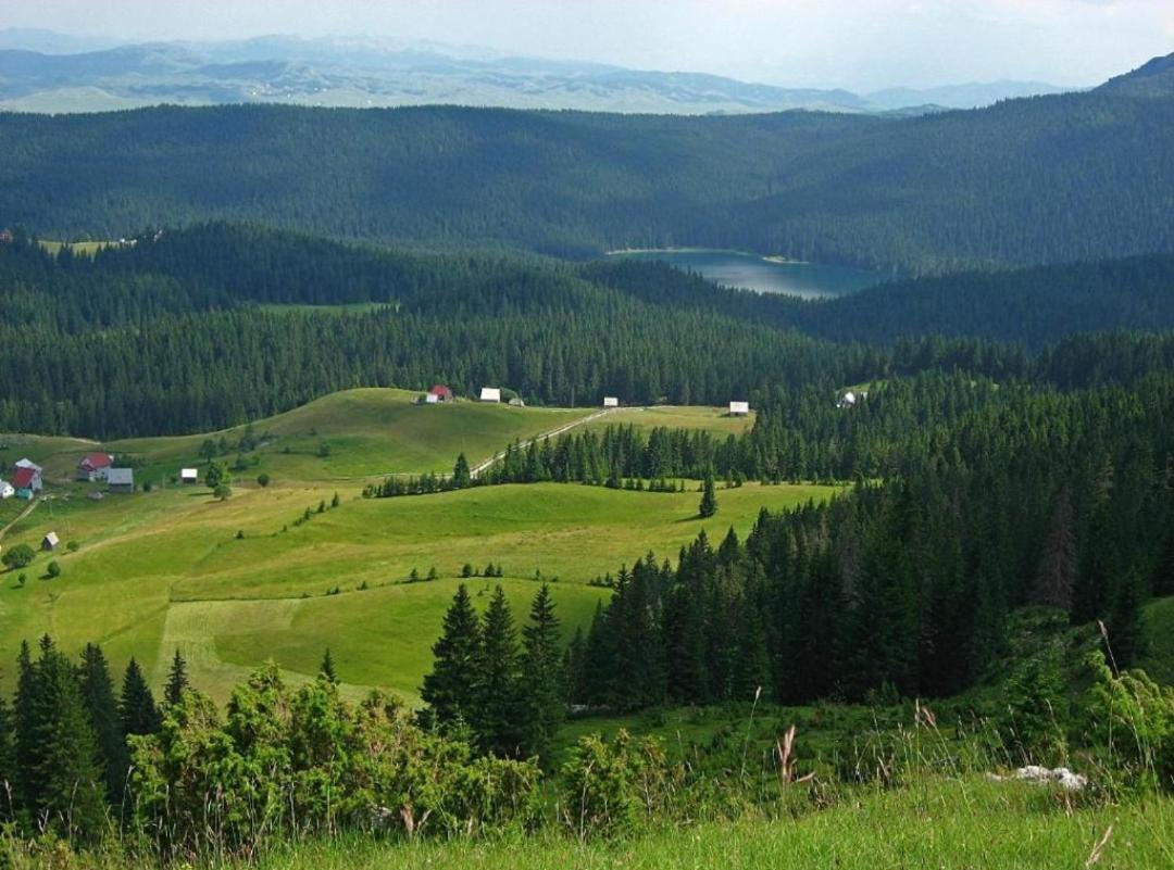 Cottage 1600 Bosaca Нікшич Екстер'єр фото